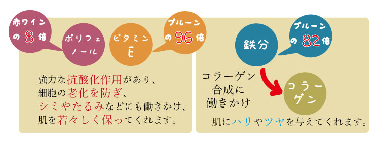 モリンガの木と素肌