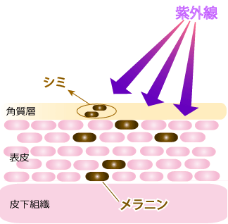紫外線対策　洗顔石けん天使の雫