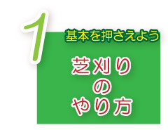 芝生のお手入れ　芝刈り