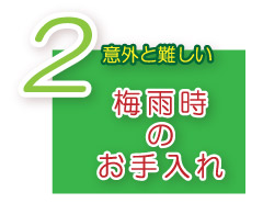 芝生のお手入れ　梅雨時のお手入れ