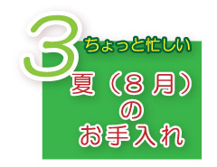 芝生のお手入れ　夏のお手入れ