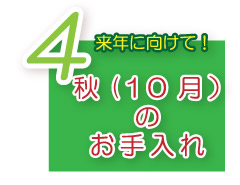 芝生のお手入れ　秋のお手入れ