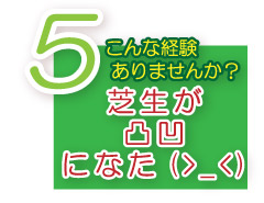 芝生のお手入れ　芝生が凸凹になったら