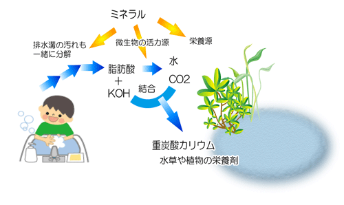 天然ミネラル配合　台所用洗剤 自然への優しさ