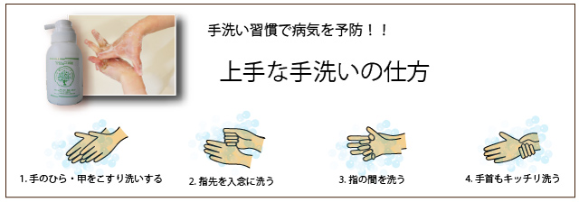 天然ミネラル配合　泡ハンドソープ　便利な携帯用