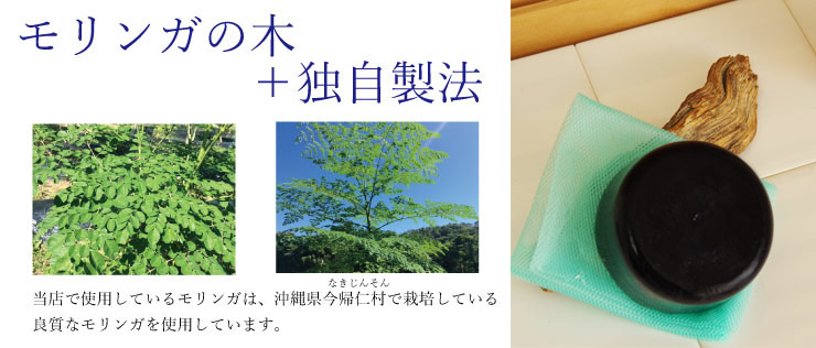 モリンガの木とは