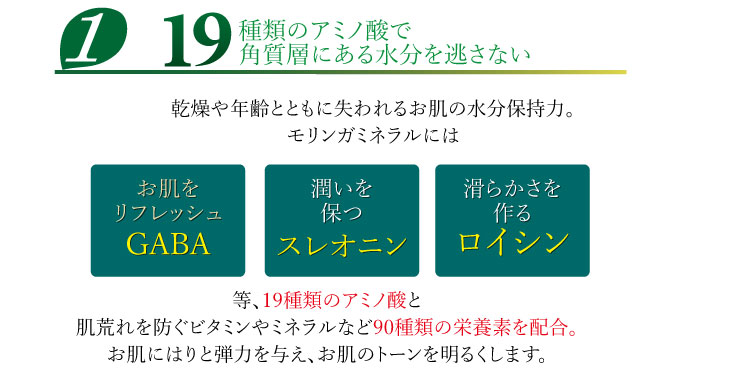 19種類のアミノ酸で角質層にある水分を逃さない