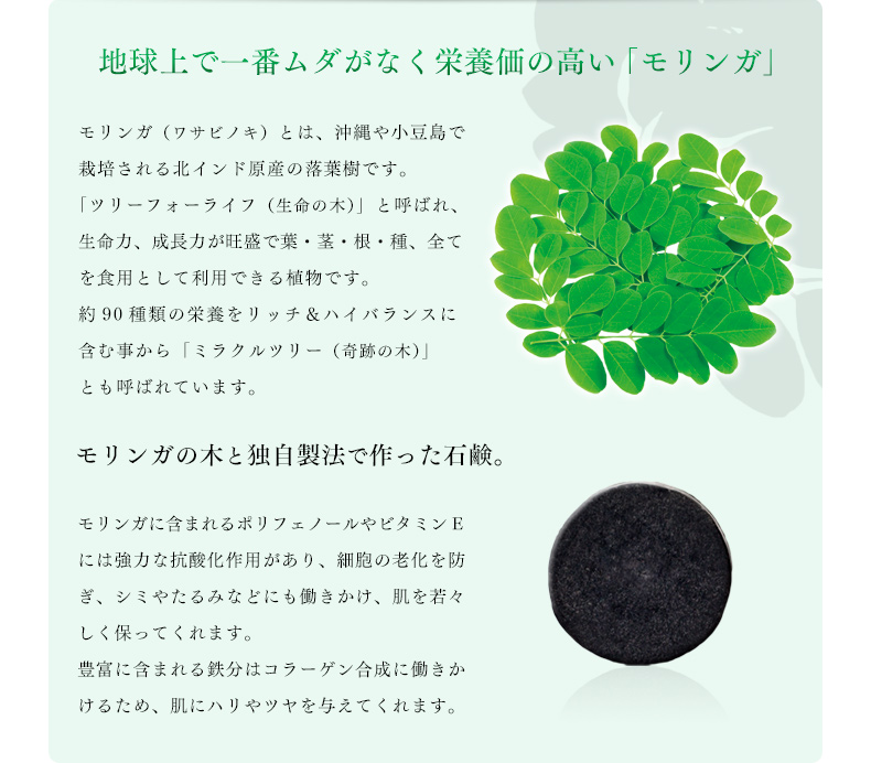 地球上で一番ムダがなく栄養価の高い「モリンガ」｜モリンガ（ワサビノキ）とは、沖縄や小豆島で栽培される北インド原産の落葉樹です。「ツリーフォーライフ（生命の木）」と呼ばれ、生命力、成長力が旺盛で葉・茎・根・種、全てを食用として利用できる植物です。約90種類の栄養をリッチ＆ハイバランスに含む事から「ミラクルツリー（奇跡の木）」とも呼ばれています。モリンガの木と独自製法で作った石鹸。モリンガに含まれるポリフェノールやビタミンEには強力な抗酸化作用があり、細胞の老化を防ぎ、シミやたるみなどにも働きかけ、肌を若々しく保ってくれます。豊富に含まれる鉄分はコラーゲン合成に働きかけるため、肌にハリやツヤを与えてくれます。