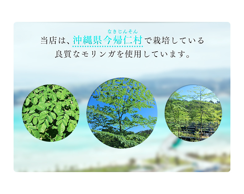 当店は、沖縄県古宇利島で栽培している良質なモリンガを使用しています。