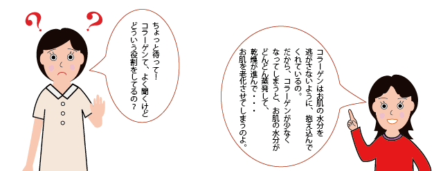 コラーゲンの役割