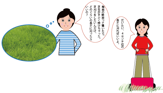 芝を刈る長さ